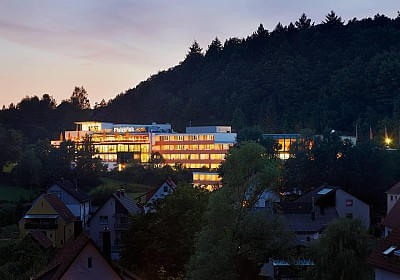 pfalzblick_1.jpg